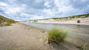 Graspol dans les dunes de Petten aan Zee sur Martijn van Dellen