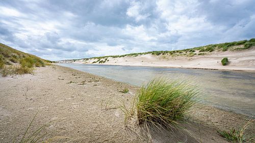 Graspol in het duingebied van Petten aan Zee