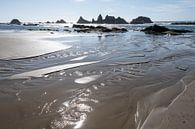 Oregon Coast, USA van John Faber thumbnail
