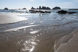 Oregon Coast, USA van John Faber
