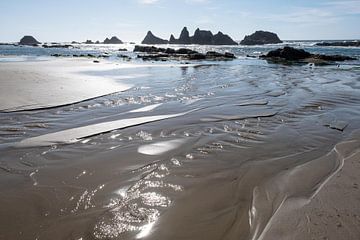 Oregon Coast, USA by John Faber