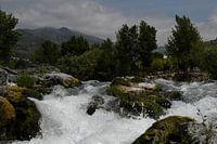 Alcantara river in Sicily