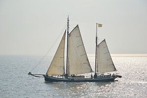 Three sails up