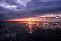 Seaset