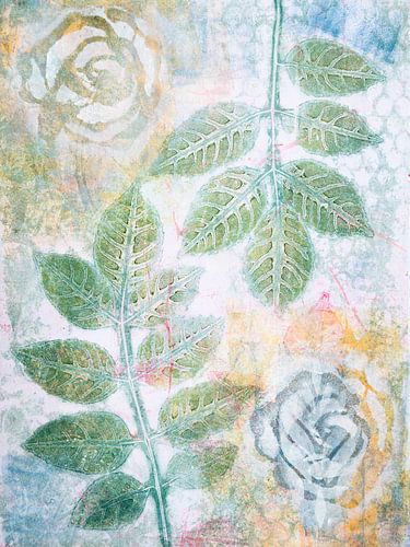 White rose with rose petal