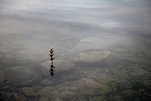 La tranquillité d'esprit