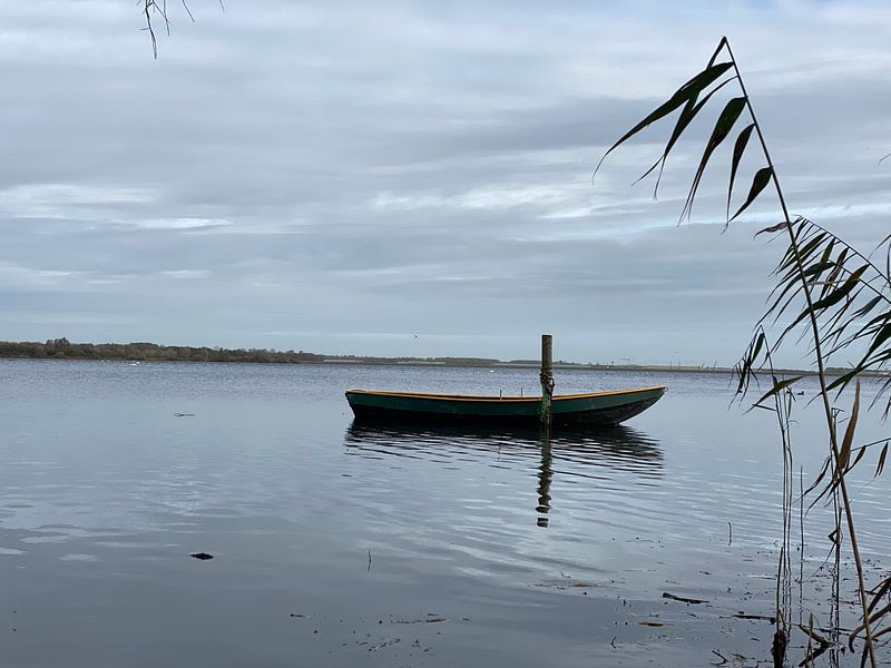 Eenzaam bootje van Emma Van Leur