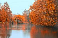 Herfst  van Sylvain  Poel thumbnail