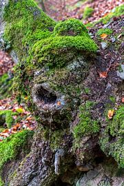 Wurzelgesicht mit Mütze (Docker) von Flatfield