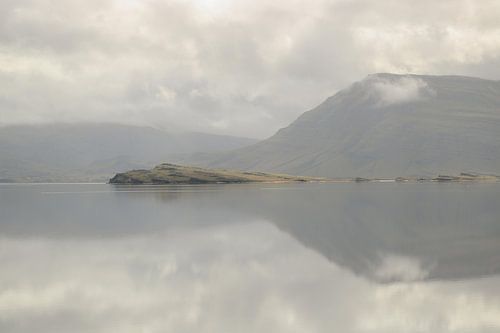 Reflecties in het water