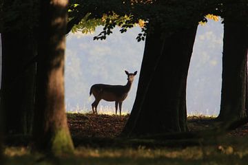 See You by Aart Brockhaus
