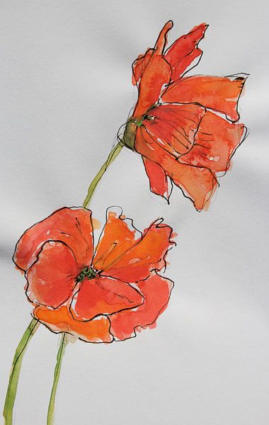 Traum von Mohnblumen von Anja Zinken Bertens