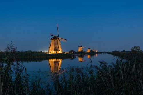 Prachtig schouwspel verlichte molens Kinderdijk