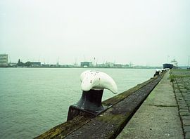 Harbour view by Marc-Jan