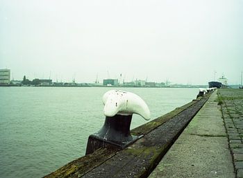 Harbour view