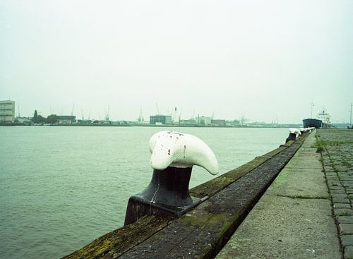 Havenzicht