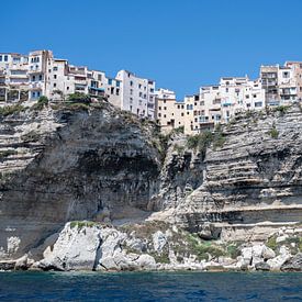 Bonifacio VII van Caroline Boogaard