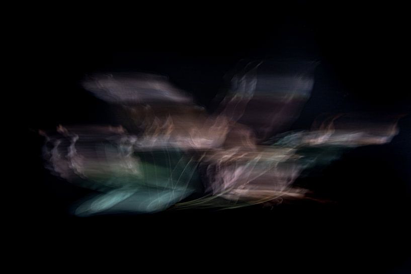 Feuilles | Abstrait | Photographie | 24 par Arma Kremers