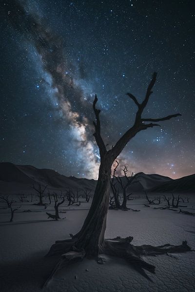 Starry skies in the desert by fernlichtsicht