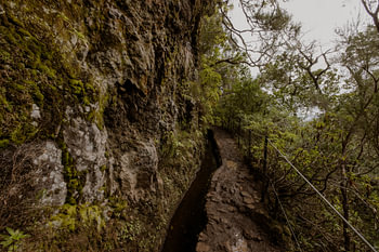 Entlang der Levada