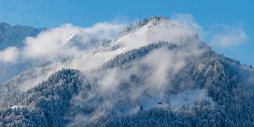 Between veils of mist and summit light