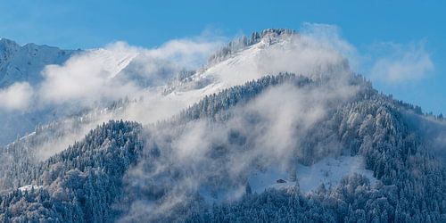 Entre les voiles de brouillard et la lumière des sommets sur Walter G. Allgöwer