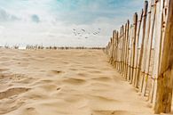 Maasvlakte van Björn van den Berg thumbnail