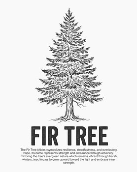 Affiche minimaliste représentant un sapin en dessin au trait - édition blanche