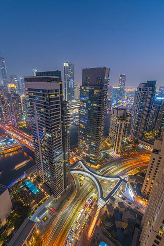 Dubia Marina at night