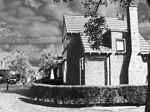 2018 art 41 Leeuwarden Gale Hamkesstr sur jan kamps