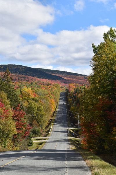 A deserted road in autumn by Claude Laprise