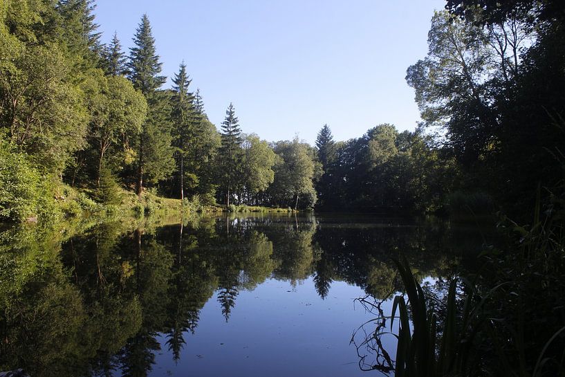 Der Basaltsee in der Rhön im Sommer von Martin Flechsig