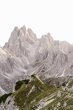 Drei Zehenspitzen Baumphrasen | Dolomiten, Italien in Europa von Wianda Bongen