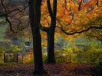 Klarenbeek Park