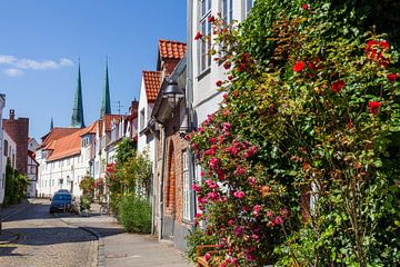 Straat An der Mauer, Oude Stad, Lübeck, Sleeswijk-Holstein, Duitsland, Europa