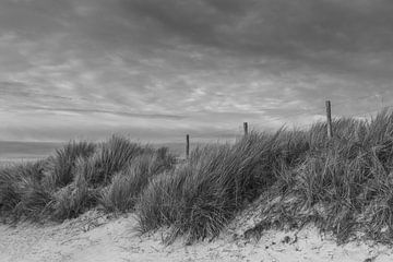 Dunes près de Callantsoog sur Ytje Veenstra