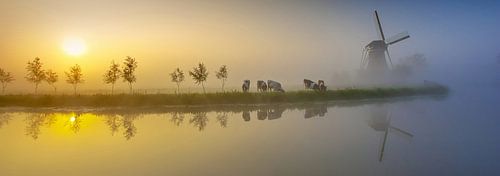 Scene uit de Krimpenerwaard