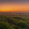Voordat de zon op komt - Hoge Venen, België. van Koos SOHNS   (KoSoZu-Photography)