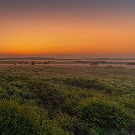 Voordat de zon op komt - Hoge Venen, België. van Koos SOHNS   (KoSoZu-Photography)