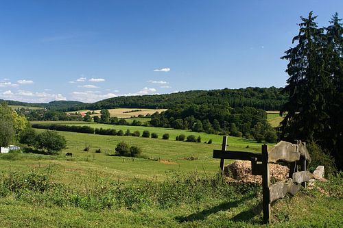 Fraai Frans landschap in de buurt van Montmédy