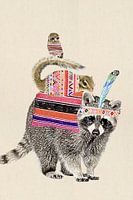 Waschbär
