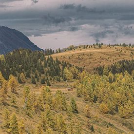 L'automne en Suisse sur Bas Koster