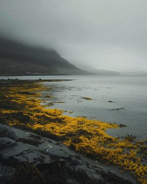 Strandwandeling in IJsland van fernlichtsicht