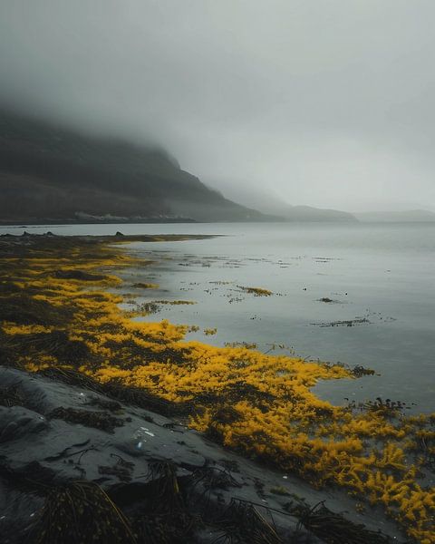 Strandspaziergang in Island von fernlichtsicht