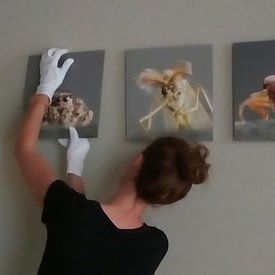 Marlies Wolfert profielfoto