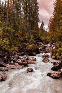 Herbst im Zauberwald