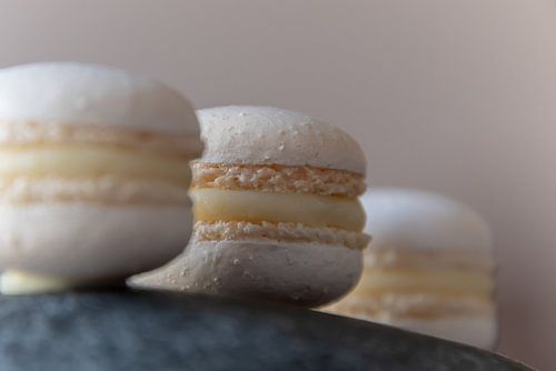 Macaron