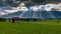 Heaven's Light