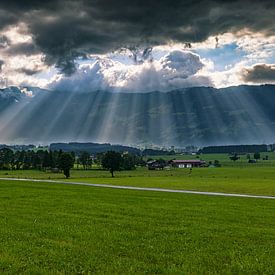 Heaven's Light by Harold van den Berge