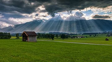 Heaven's Light van Harold van den Berge